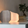 Picture of Smart Folding Light