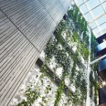 Picture of Green Facades and Planter Boxes
