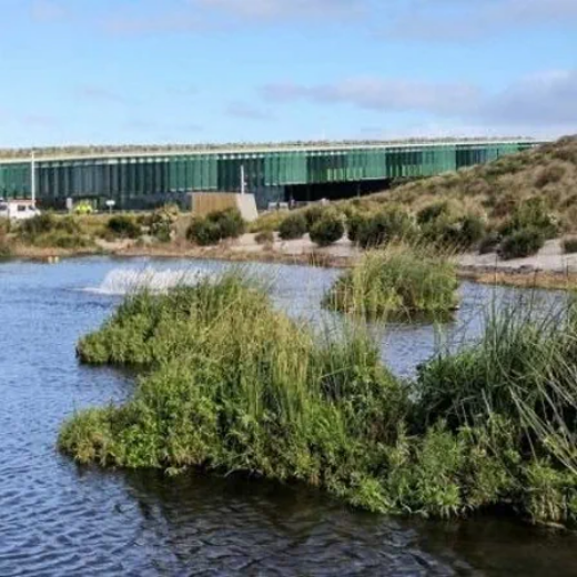 Picture of Floating Wetlands