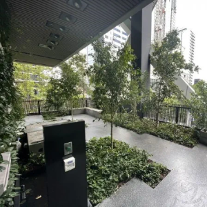 Picture of Roof Gardens