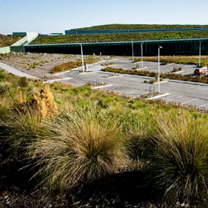 Picture of Roof Gardens