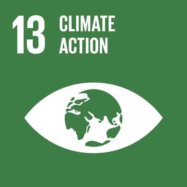 Picture of SDG 13