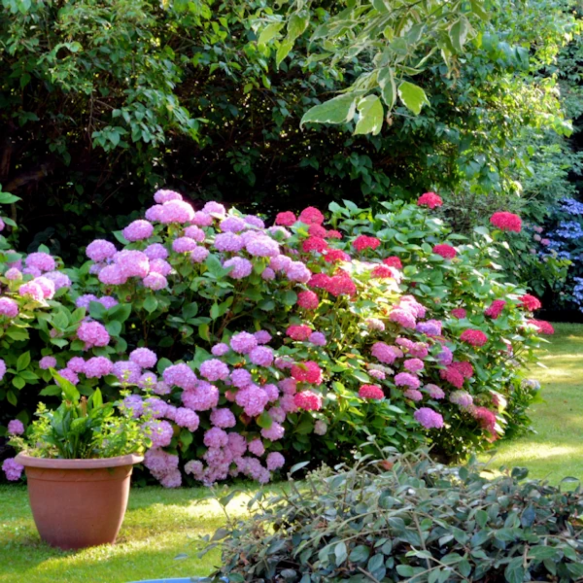 Picture of Landscape Cultivation