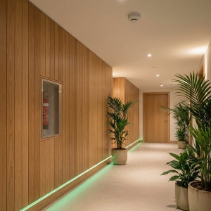 Picture of Fire Systems