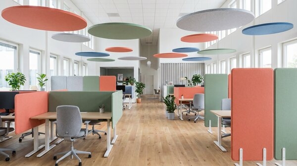Acoustic screens and ceiling absorbers in workspace