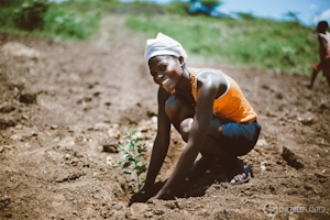 One Tree Planted